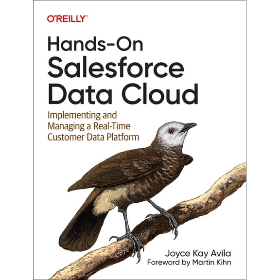 Hands-On Salesforce Data Cloud: Implementing and Managing a Real-Time Customer Data Platform, (Paperback)