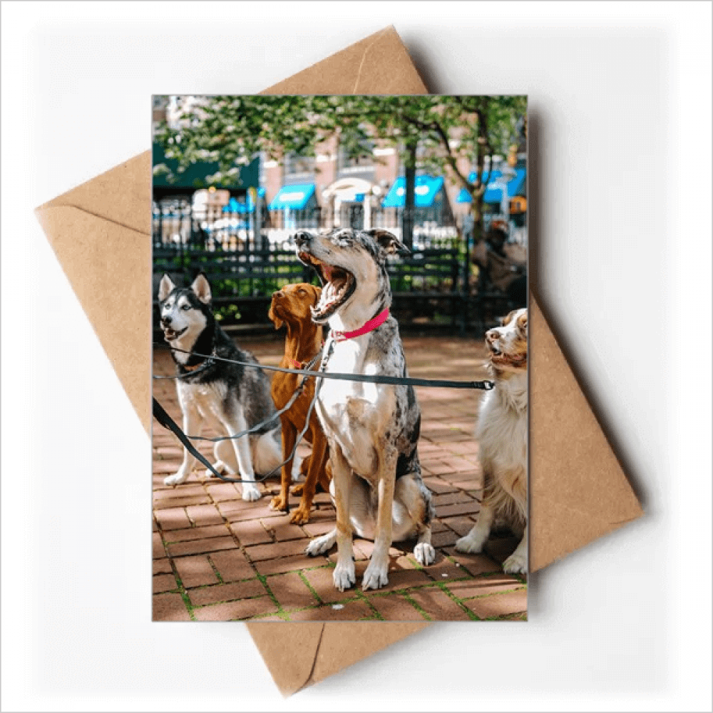 Handsome Dogs Pet Animal Picture Greeting Cards You are Invited Invitations