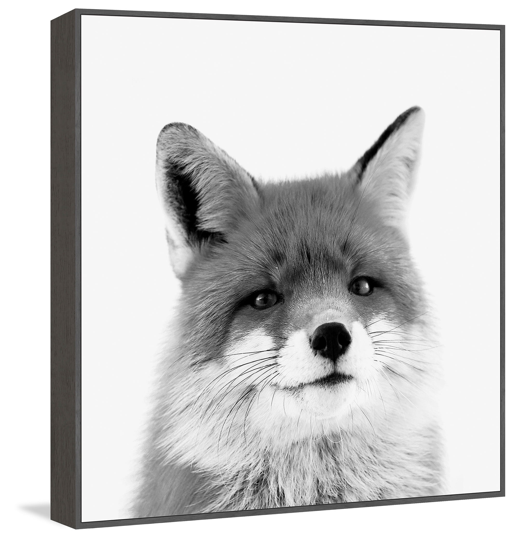 Handsome Fox Floater Framed Painting Print on Canvas