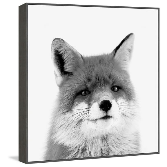 Handsome Fox Floater Framed Painting Print on Canvas