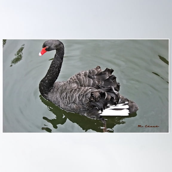 " Handsome Guy" Poster Wall Art, Modern Wall Decor For Living Room Bedroom, 16x24 UNFRAMED