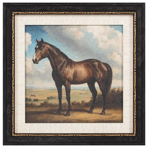 Handsome Horse