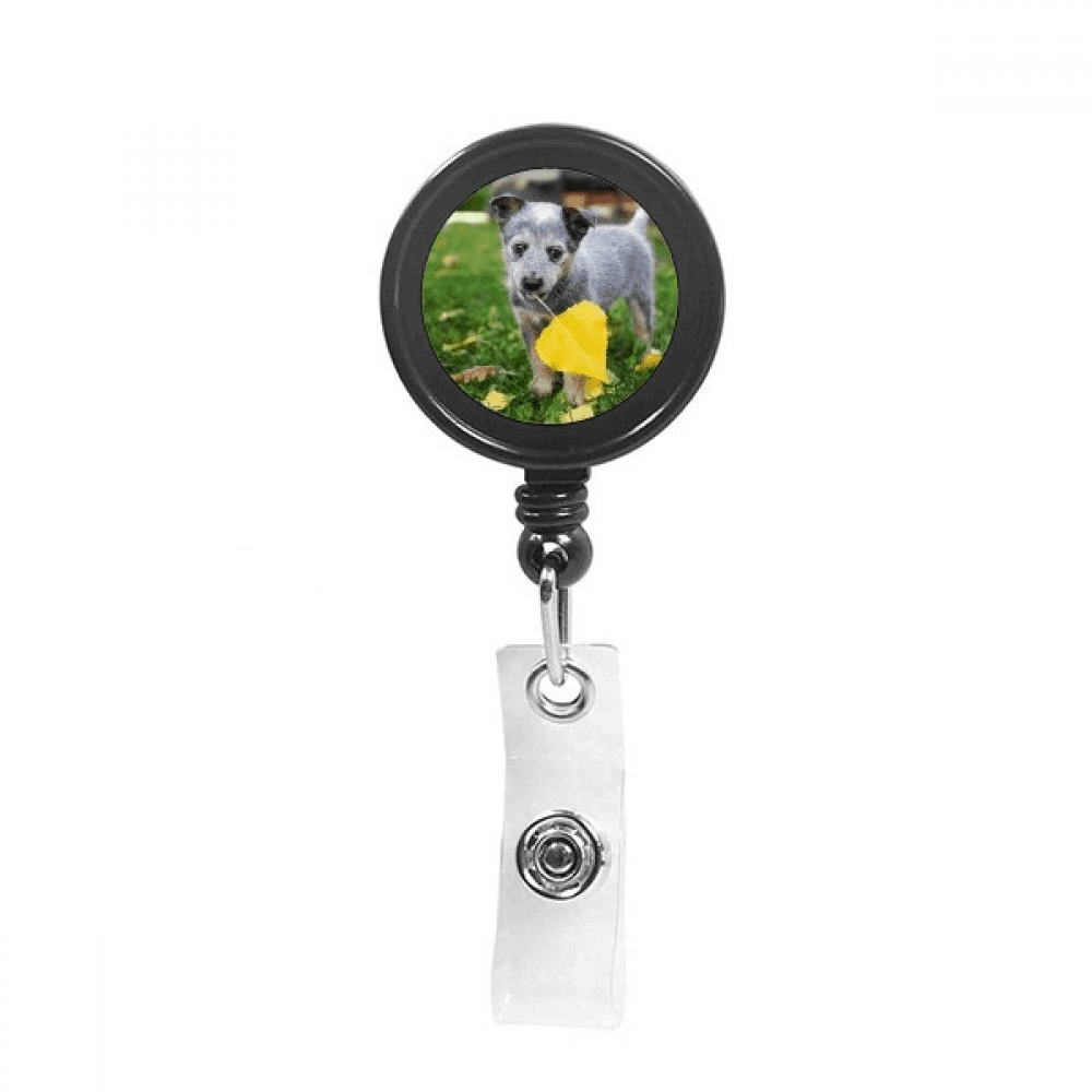 Handsome Puppy Pet Photography Picture Retractable Keychain Badge Holder ID Badge