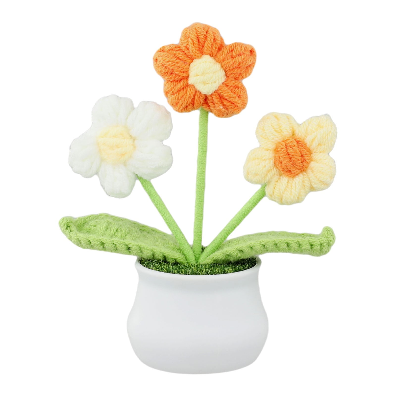 Amazon.com : Shop Succulents Areca Palm, Live Indoor Plant, Low ... - Low Maintenance Home Decor