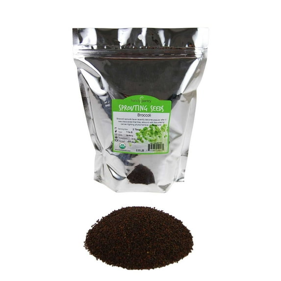 Handy Pantry Broccoli Sprouts Seed Organic- 1 Lb - Non-GMO Organic Broccoli Seeds for Sprouting, Microgreens Sprouting Seeds, Contain Sulforaphane