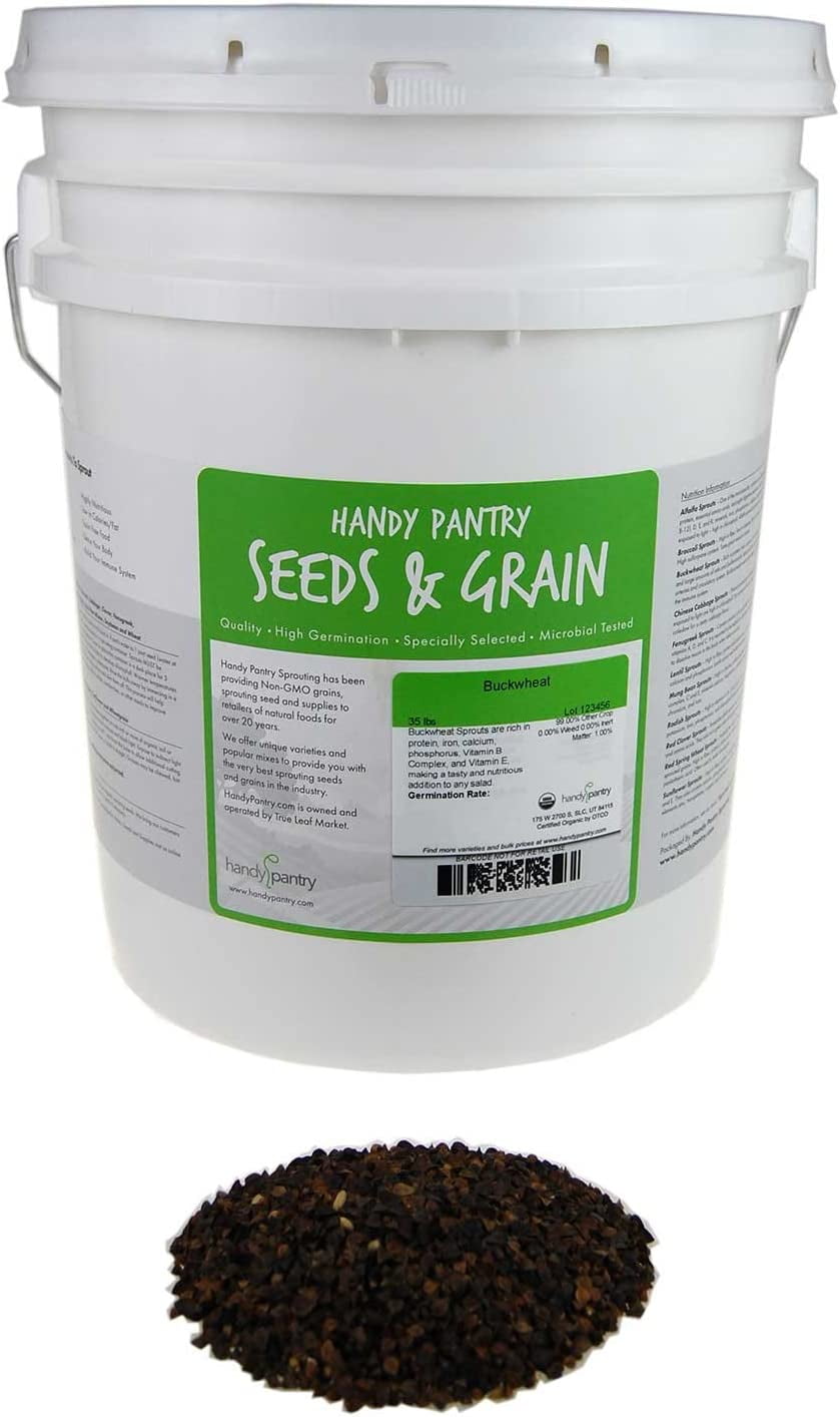 Handy Pantry Bulk Organic Buckwheat Sprouting Seed - 25 Lbs - Unhulled - Organic - Gardening, Growing Salad Greens, Sprouts & Food Storage - Buck Wheat Sprout