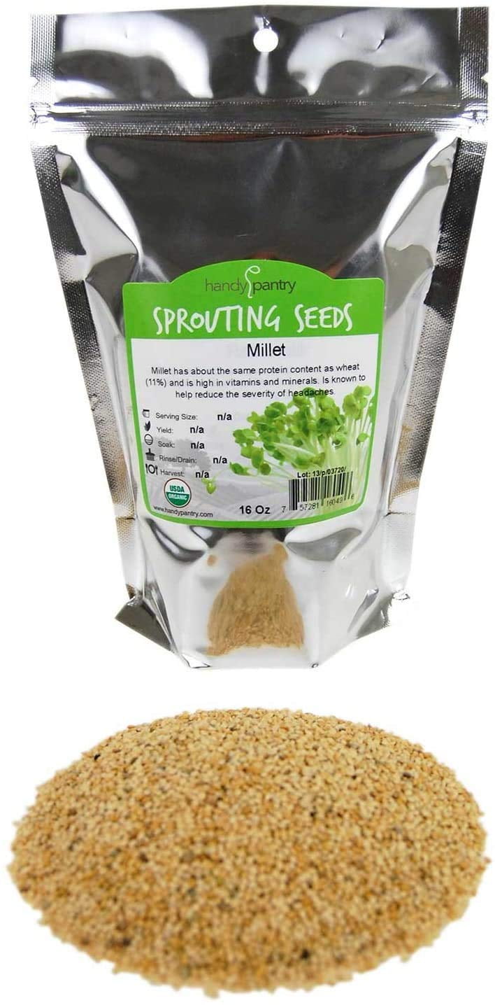 Bulk Buckwheat Hulls