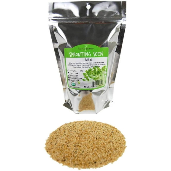 Handy Pantry Organic Whole (Hull Intact) Millet Seeds: 1 Lb - Cereal Grain - Sprouting Seed - Non-GMO, Animal Feed & Bird Seed 1 Lb Pouch