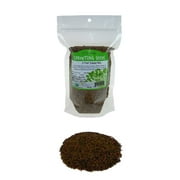 Handy Pantry Sprouting Broccoli Alfalfa Plant Seeds, High Germination Rate