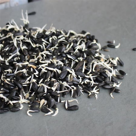 Organic Black Oil Sunflower Sprouting Seed 8 Oz ~5,600 Seeds - Non-GMO, Fast 2-3 Day Harvest, High Germination, Nutty Flavor, Full of Vitamins & Minerals, Easy Tray, Jar, or Bag Sprouting