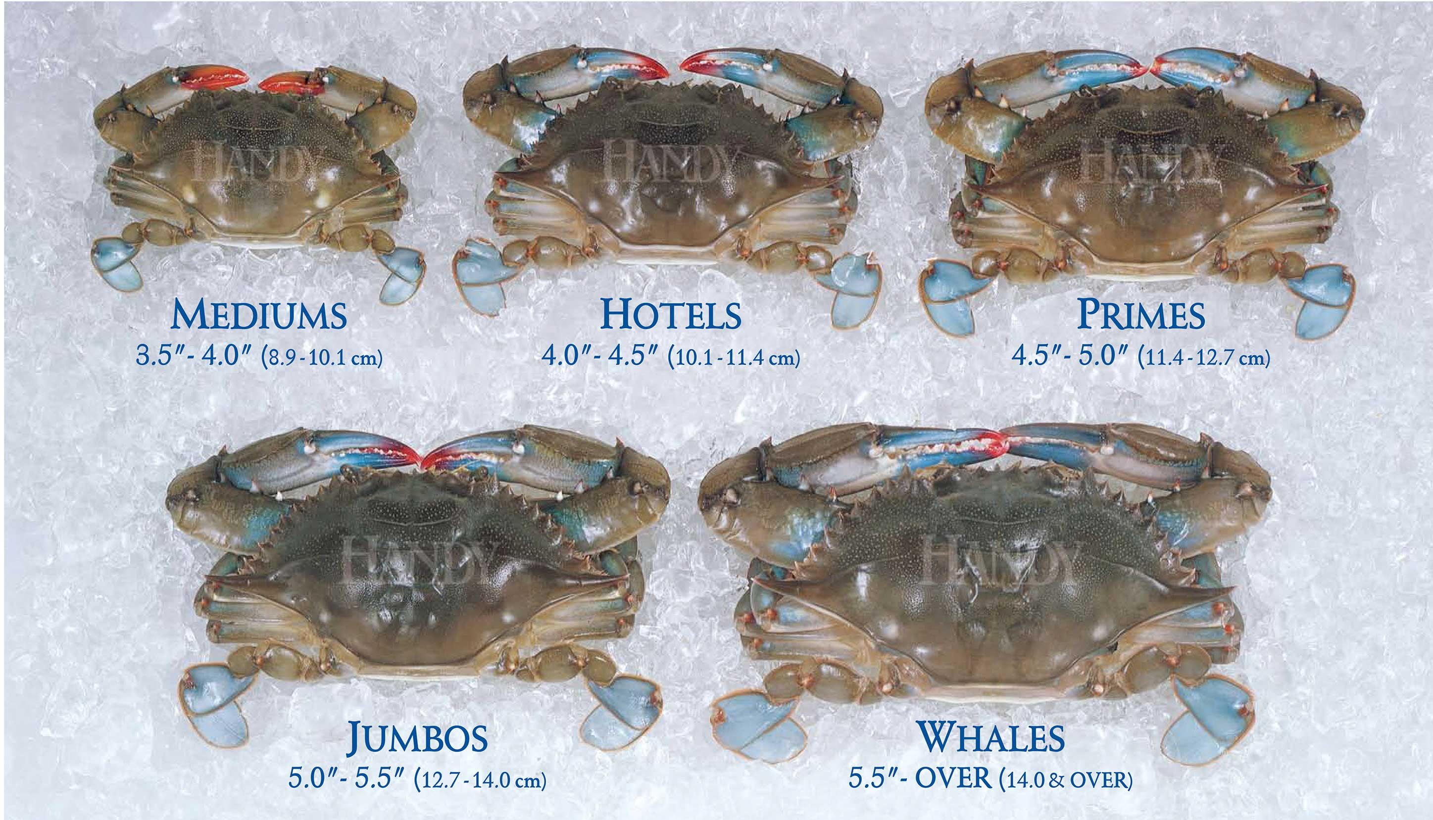 Handy Soft Shell Prime Crab 235 Ounce 36 Per Case 9029