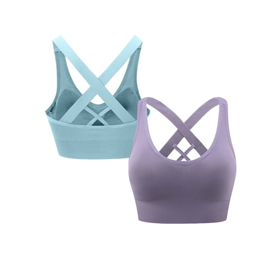 Hanerdun 2 Pack Sport Bras for Women Crossback Padded Seamless Athletic Yoga Activewear Blue/Purple 2XL