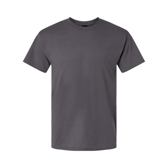 Hanes 42TB Adult X-Temp Triblend T-Shirt (2 PACK)