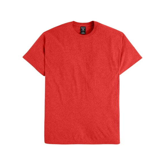 Hanes 42TB Adult X-Temp Triblend T-Shirt (2 PACK)