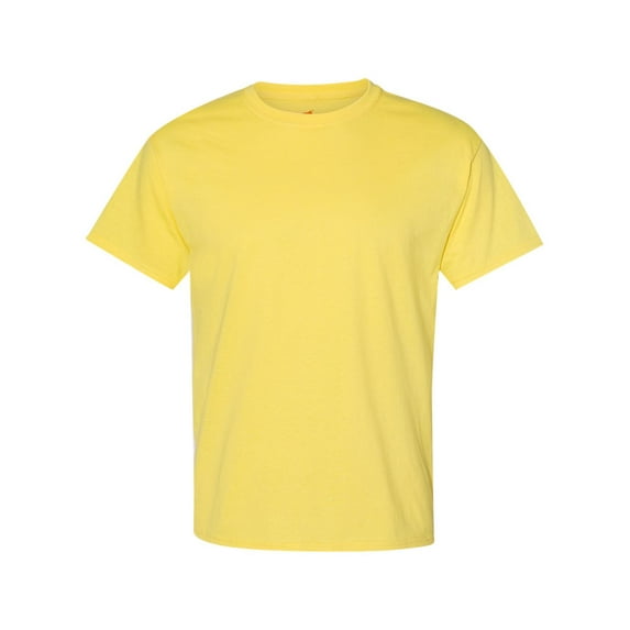 Hanes 5170 Adult 5.2 oz. 50/50 EcoSmart T-Shirt (2 PACK)