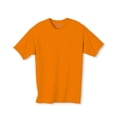 thumbnail image 1 of Hanes 5250T Men's Authentic-T T-Shirt (6 Pack), 1 of 3