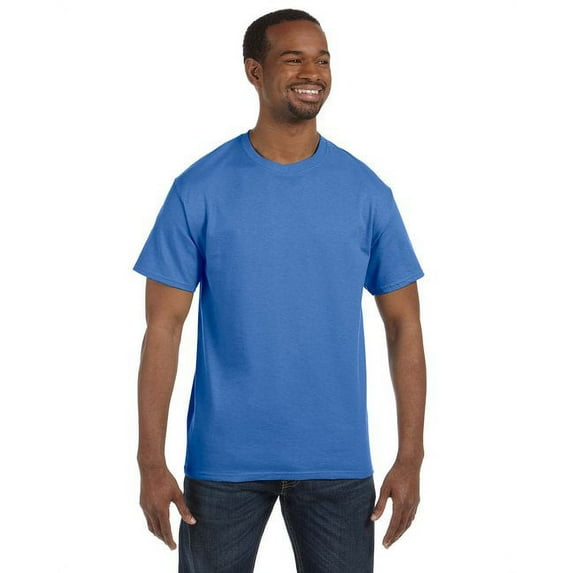 Hanes 5250T Men's Authentic-T T-Shirt