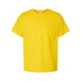 thumbnail image 1 of Hanes 5280 Adult 5.2 oz. ComfortSoft Cotton T-Shirt, 1 of 1
