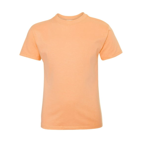 Hanes 54500 Youth 6.1 oz. Tagless T-Shirt (2 PACK)