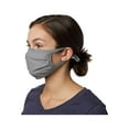 thumbnail image 1 of Hanes Adult X-Temp 2-Ply Adjustable Face Mask, 1 of 2