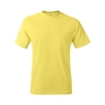thumbnail image 1 of Hanes® - Authentic 100% Cotton T-Shirt, 1 of 4