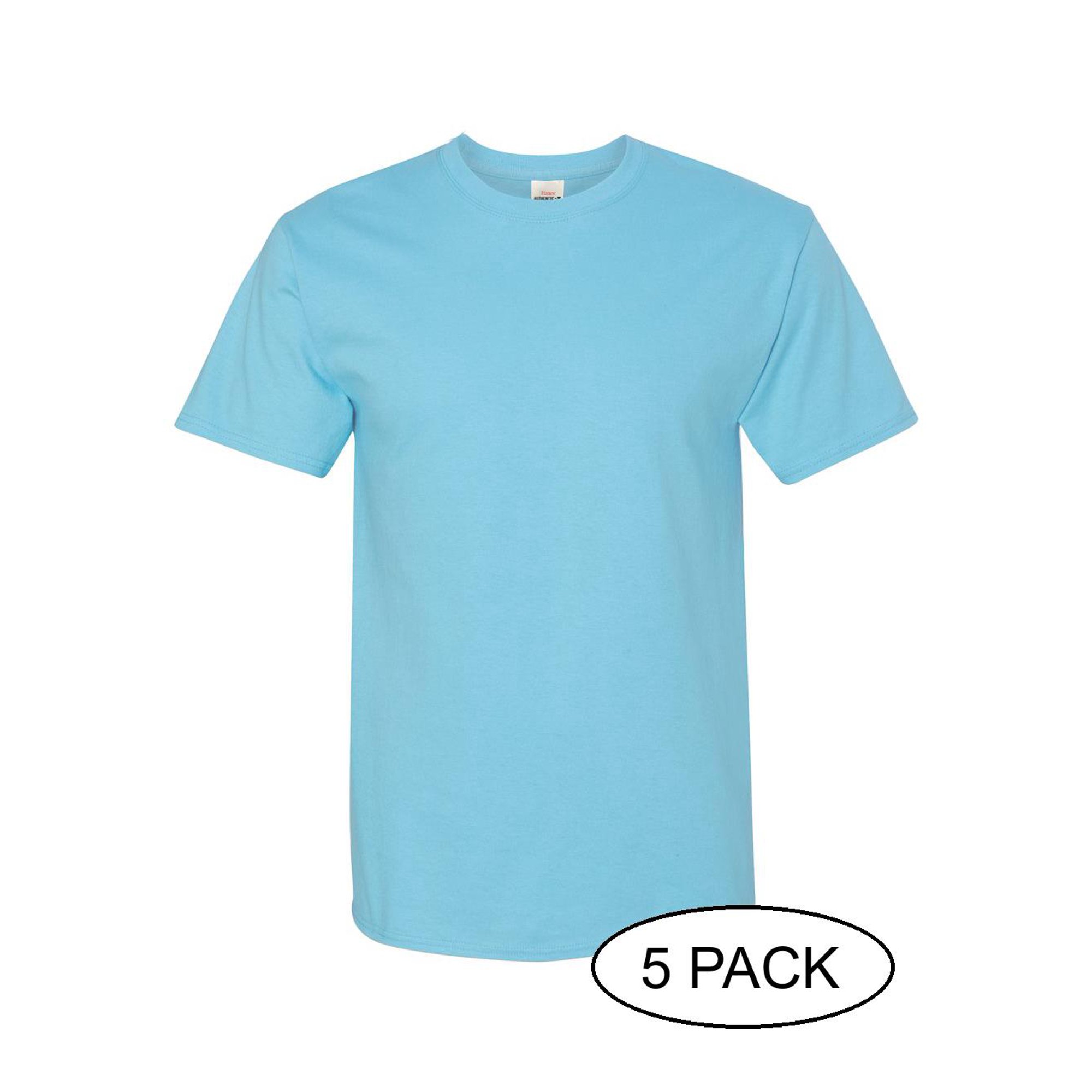 Hanes 5250 Tagless Cotton T-Shirt - Clean Mint - L