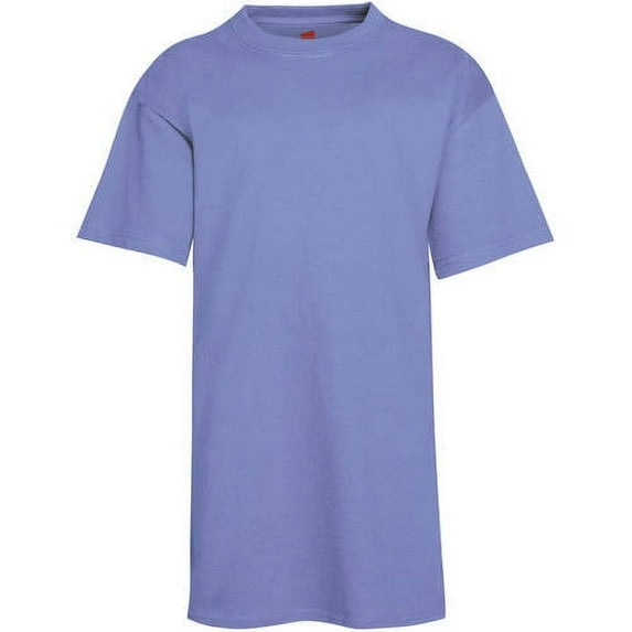 Hanes Boys 4-18 EcoSmart Short Sleeve Tee