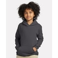 thumbnail image 1 of Hanes Boys 4-18 Ecosmart Youth Hooded Sweatshirt, 1 of 3