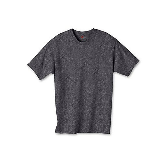 Hanes Boys 4-18 Tagless Short Sleeve T-Shirt