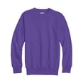 thumbnail image 1 of Hanes Boys EcoSmart Fleece Crew Neck Sweatshirt, Sizes XS-XL, 1 of 5