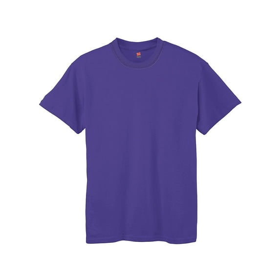 Hanes Boys' TAGLESS; Comfort Soft; Crewneck T-Shirt, Color: Purple, Size: XL --- PACK OF 2 (Boys)