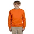 thumbnail image 1 of Hanes Boys Youth Comfortblend Ecosmart Crewneck Sweatshirt(P360, 1 of 1