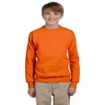 thumbnail image 1 of Hanes Boys Youth Comfortblend Ecosmart Crewneck Sweatshirt(P360, 1 of 1