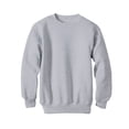 thumbnail image 1 of Hanes EcoSmart Kids' Crewneck Sweatshirt Light Steel M, 1 of 1