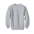 thumbnail image 1 of Hanes EcoSmart Kids' Crewneck Sweatshirt Light Steel S, 1 of 1