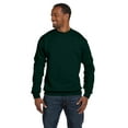 thumbnail image 1 of Hanes - Ecosmart Crewneck Sweatshirt - P160, Deep Forest, S, Pack 2, Hanes Men's Sweatshirts, 1 of 1