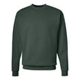 thumbnail image 1 of Hanes Ecosmart Crewneck Sweatshirt Unisex, 1 of 5