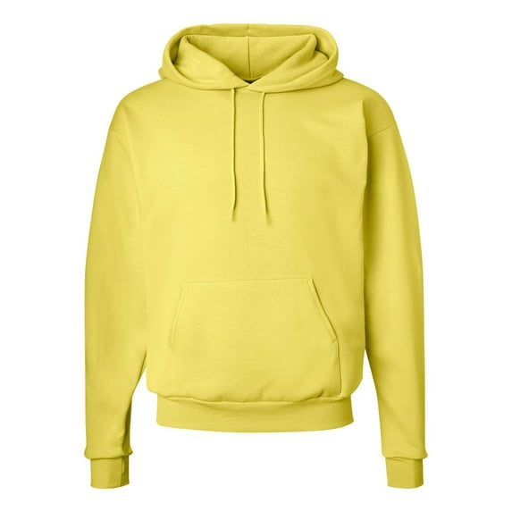 Hanes Ecosmart Hoodie Sweatshirt for Men