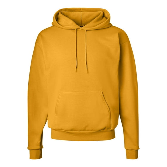 Hanes Ecosmart Hoodie Sweatshirt for Men