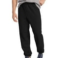 thumbnail image 1 of Hanes - Ecosmart Sweatpants - P650 2-Pack, 1 of 1