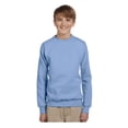 thumbnail image 1 of Hanes - Ecosmart Youth Crewneck Sweatshirt - P360, Light Blue, M, 1 of 1