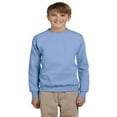 thumbnail image 1 of Hanes - Ecosmart Youth Crewneck Sweatshirt - P360, Light Blue, XL, 1 of 1