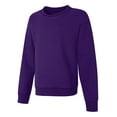 thumbnail image 1 of Hanes EcoSmart Girls' Fleece Sweatshirt Purple Thora XL, 1 of 2