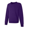 thumbnail image 1 of Hanes Girls' EcoSmart® Sweatshirt 2-Pack Purple Thora S, 1 of 5
