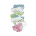 thumbnail image 1 of Hanes Girls' 100% Cotton Tagless Brief Panties, Assorted 9-Pack, 14, 1 of 4