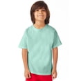 thumbnail image 1 of Hanes Kids' Garment Dyed Cotton T-Shirt Honeydew XS, 1 of 4