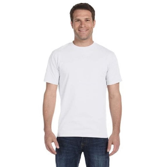 Hanes Men`s 5.2 oz HEAVYWEIGHT Short Sleeve T-shirt (Pack of 4) (2 White / 2 Ash)