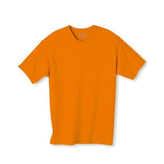 Hanes Men's 6.1 oz. Tagless T-Shirt - 5250T
