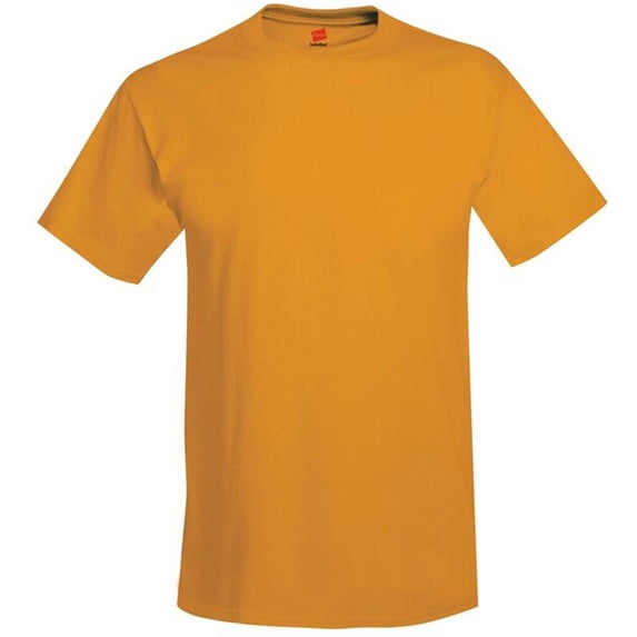 Hanes Men's & Big Men's Ecosmart T-Shirt, Sizes S-3XL