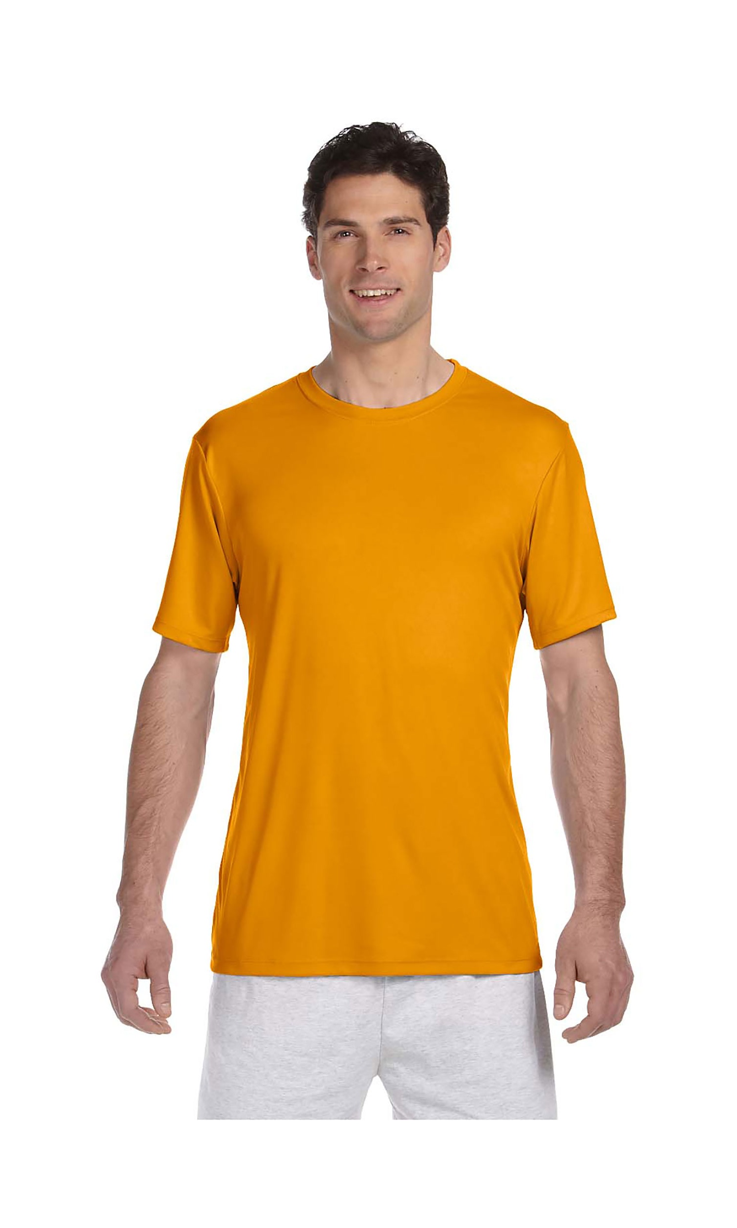 Hanes Men's Cool Dri Upf 50 Moisture Wicking T-Shirt, Style 4820 - Main Image